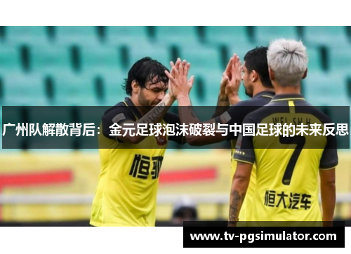 广州队解散背后：金元足球泡沫破裂与中国足球的未来反思