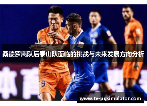 桑德罗离队后泰山队面临的挑战与未来发展方向分析