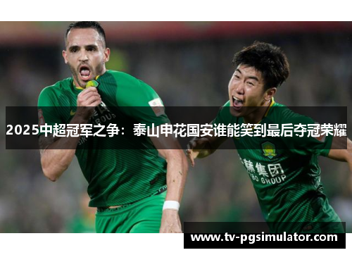 2025中超冠军之争：泰山申花国安谁能笑到最后夺冠荣耀
