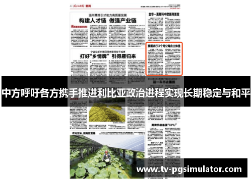 中方呼吁各方携手推进利比亚政治进程实现长期稳定与和平