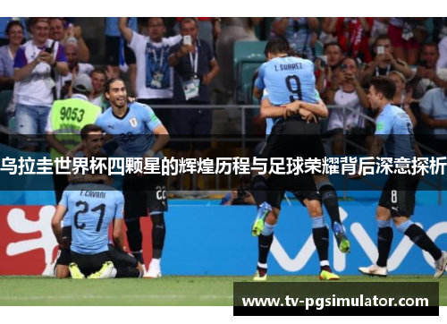 乌拉圭世界杯四颗星的辉煌历程与足球荣耀背后深意探析