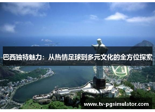 巴西独特魅力：从热情足球到多元文化的全方位探索
