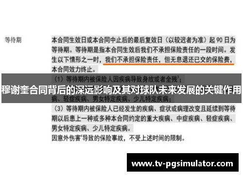 穆谢奎合同背后的深远影响及其对球队未来发展的关键作用