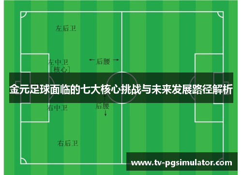 金元足球面临的七大核心挑战与未来发展路径解析