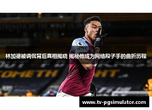 林加德被调侃背后真相揭晓 揭秘他成为网络段子手的曲折历程 林加德被调侃背后真相揭晓 揭秘他成为网络段子手的曲折历程