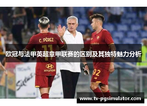 欧冠与法甲英超意甲联赛的区别及其独特魅力分析