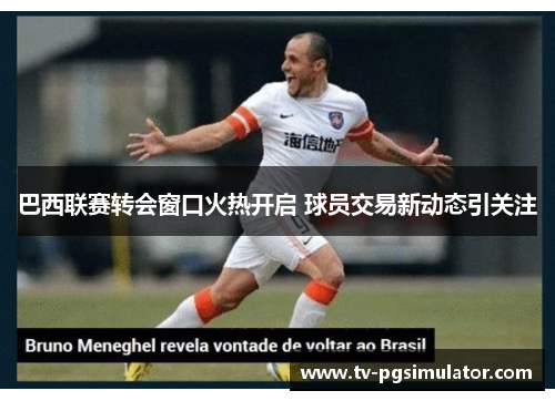 巴西联赛转会窗口火热开启 球员交易新动态引关注 巴西联赛转会窗口火热开启 球员交易新动态引关注