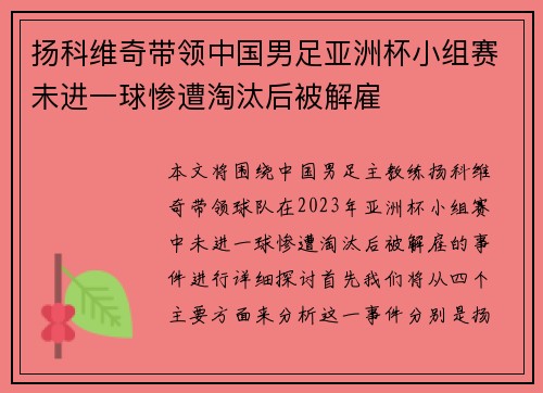 扬科维奇带领中国男足亚洲杯小组赛未进一球惨遭淘汰后被解雇