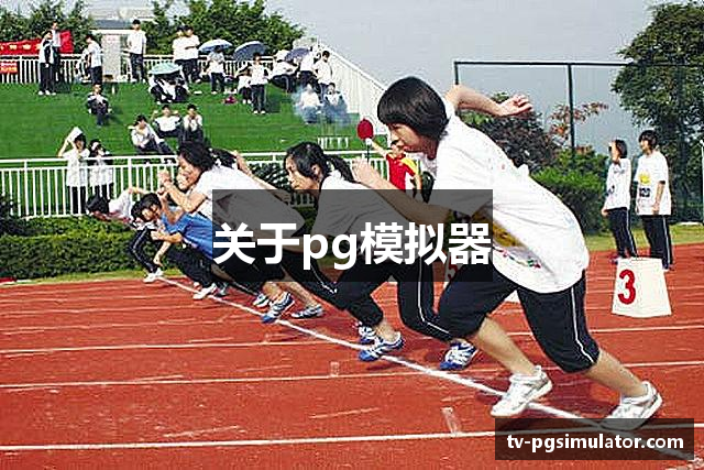 关于pg模拟器